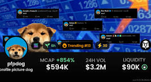 PFPdog Skyrockets to 0.0005840 USDT, Surges 11,689% in 24 Hours!