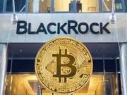 BlackRock’s Bitcoin Bonanza: Owning 3% of Total BTC and What It Means for Crypto