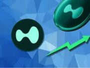 Whale Makes Waves: $2.5M USDC Deposit into HyperLiquid Fuels HYPE with 70,617.6 Token Purchase