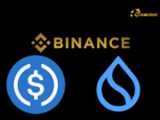 Sui vs. Binance Smart Chain: A 2025 Comparison of Two Leading Layer-1 Blockchains