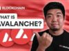 Avalanche Blockchain: The High-Speed Future of Crypto