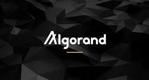 Algorand: The Blockchain Built for Speed, Scale, and Sustainability