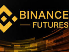 Binance Futures Unleashes the USELESSUSDT Perpetual Contract: A New Trading Frontier