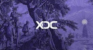 XDC Network’s USDC and CCTP V2 Integration: A Leap Forward for Cross-Chain Tokenization