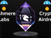 Your Step-by-Step Guide to Navigating the Cashmere Labs Testnet