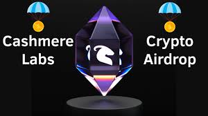 Your Step-by-Step Guide to Navigating the Cashmere Labs Testnet