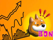 BONK cryptocurrency trading volume surges 71 percent