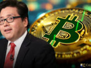 Market Confidence Under Pressure: Tom Lee on the October 11 Crash and DeFi Protocol Hacks