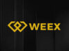 WEEX Announces Community AMA Focused on Trading Strategies and Navigating Losses