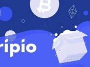 New Chapter in Latin American Blockchain Innovation