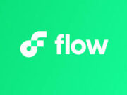 Flow Blockchain Rollback Sparks Controversy Over Lack of Partner Coordination