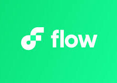 Flow Blockchain Rollback Sparks Controversy Over Lack of Partner Coordination