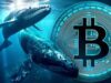 Two Crypto Whales Place Large Opposing Bitcoin Bets with High Leverage Positions