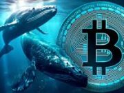 Two Crypto Whales Place Large Opposing Bitcoin Bets with High Leverage Positions