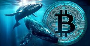 Two Crypto Whales Place Large Opposing Bitcoin Bets with High Leverage Positions