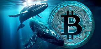 Two Crypto Whales
