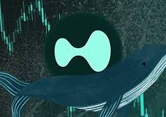 Hyperliquid Whales Command $2.785 Billion in Crypto Positions Hyperliquid