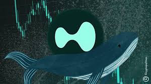 Hyperliquid Whales Hyperliquid